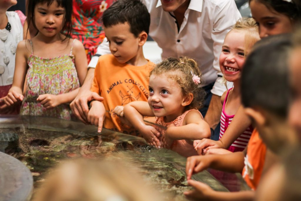 Photo nice-matin Grégoire Bosc Bierne - Musée océanographique de Monaco