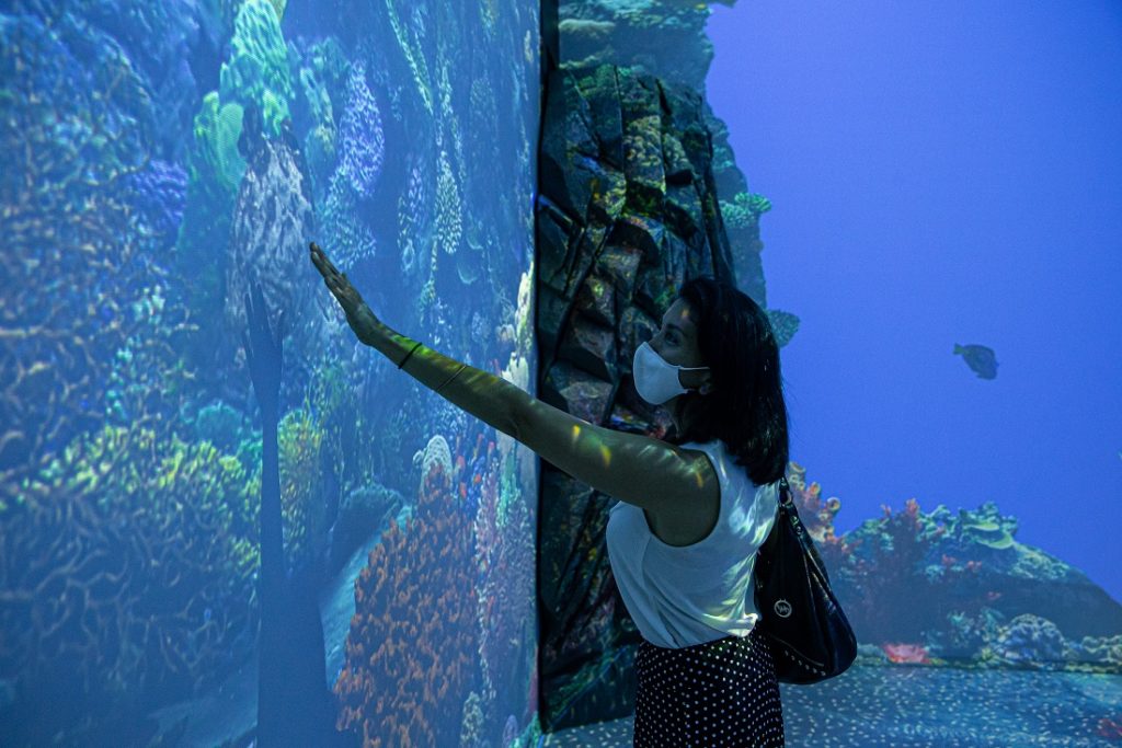 Exposition Immersion - Nagez avec les raies - Musée océanographique