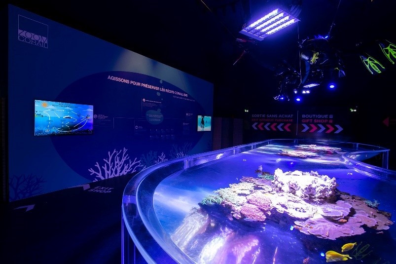 Aquariums Musée Océanographique De Monaco 4167