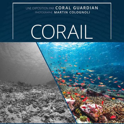 Exposition corail guardian musée océanographique monacol