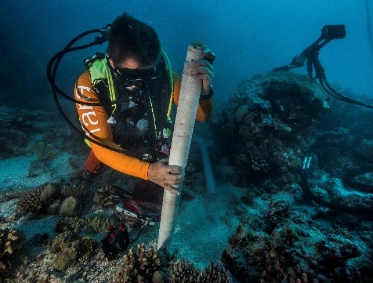 C'è il corallo nel Mediterraneo? - Institut océanographique