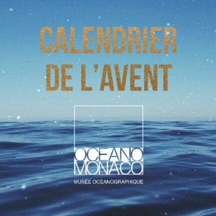 Calendrier de l'avent 2024 du Musée océanographique de Monaco