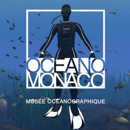 Animations ImmerSEAve VR au Musée océanographique de Monaco : partez à la découverte d'une Aire Marine Protégée