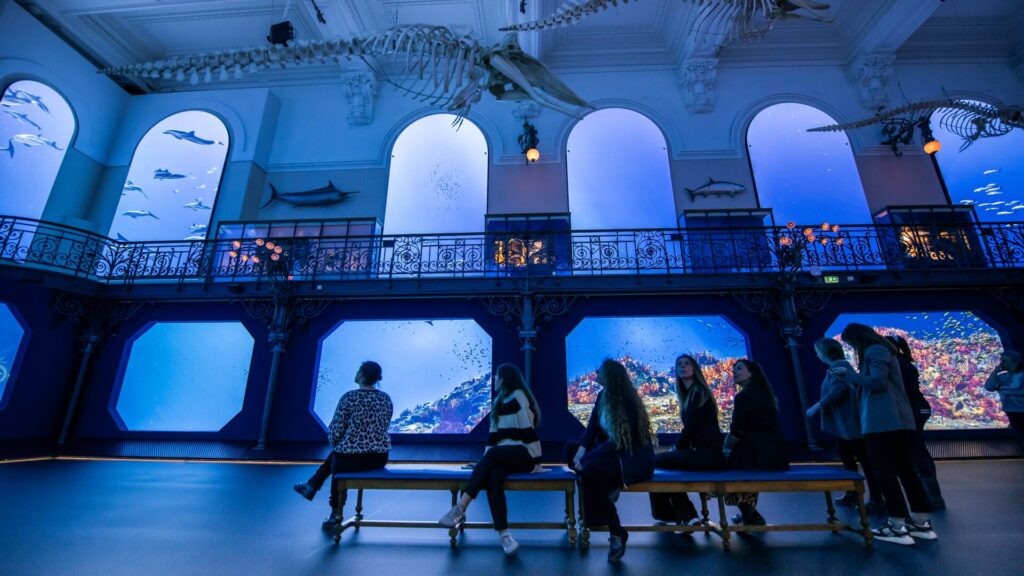 Exposition_Mediterranée_2050_20250325_Musee_oceanograpique_Monaco©Institut_oceanographique_Monaco_ Frederic_Pacorel