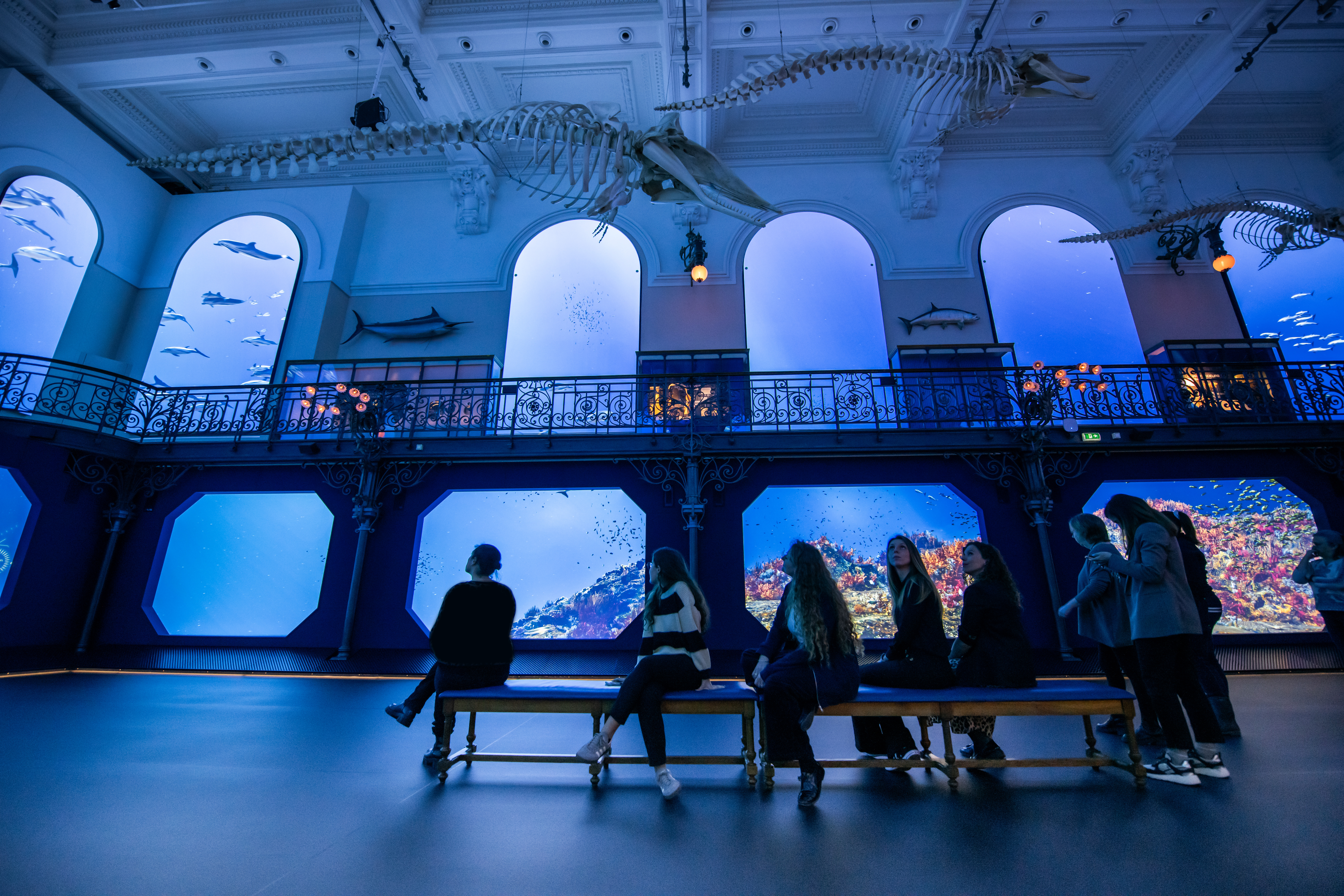 Exposition_Mediterranée_2050_20250325_Musee_oceanograpique_Monaco-oceano_Odyssee©Institut_oceanographique_Monaco_ Frederic_Pacorel