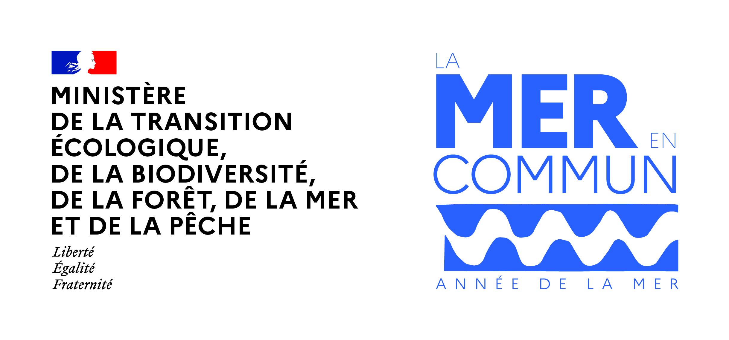 Oceano Pour Tous La Mer en Commun