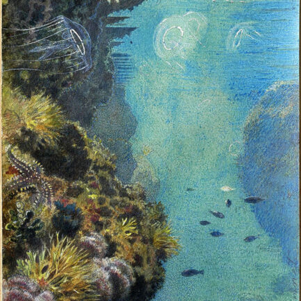 Exposition-deauville-bleu-profond-ocean-revele-collection-ransonnet