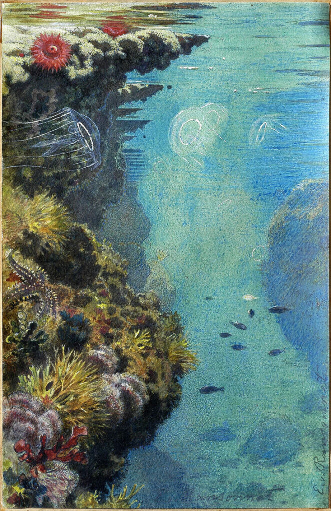 Exposition-deauville-bleu-profond-ocean-revele-collection-ransonnet