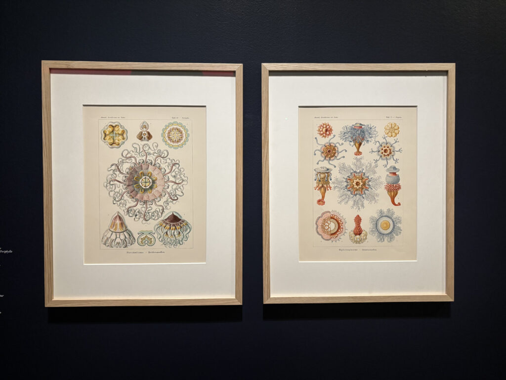exposition_bleu_profond