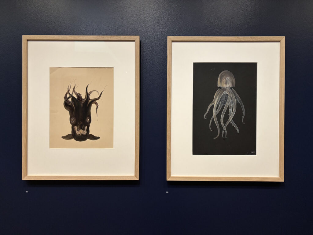 exposition_bleu_profond