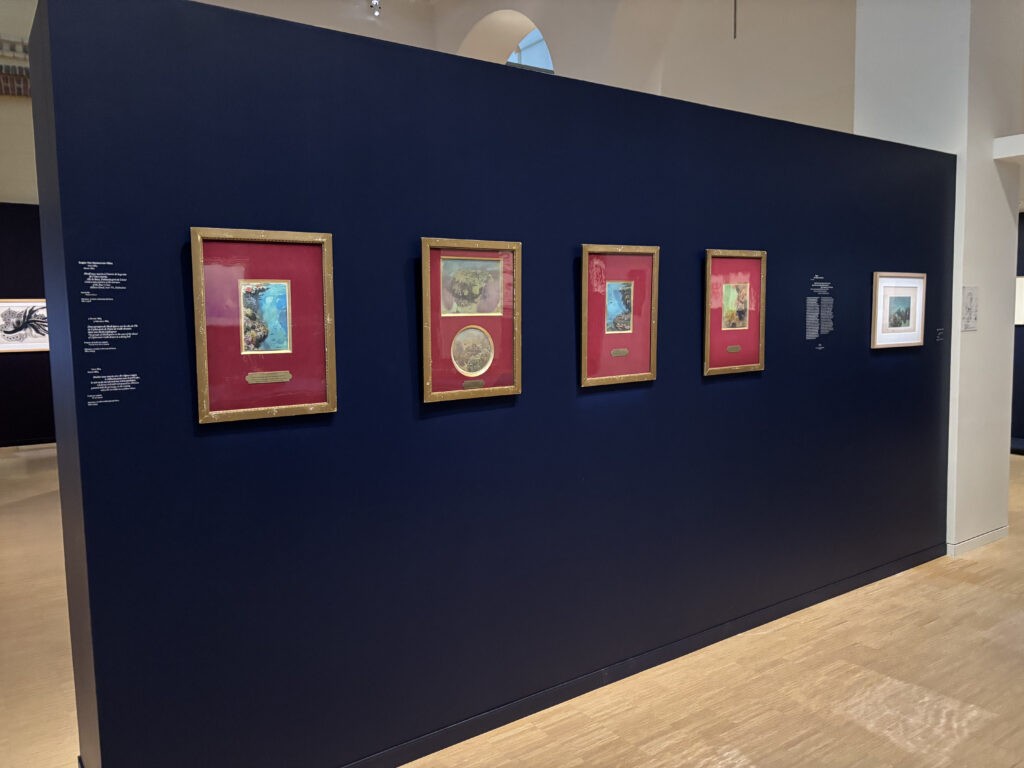 exposition_bleu_profond
