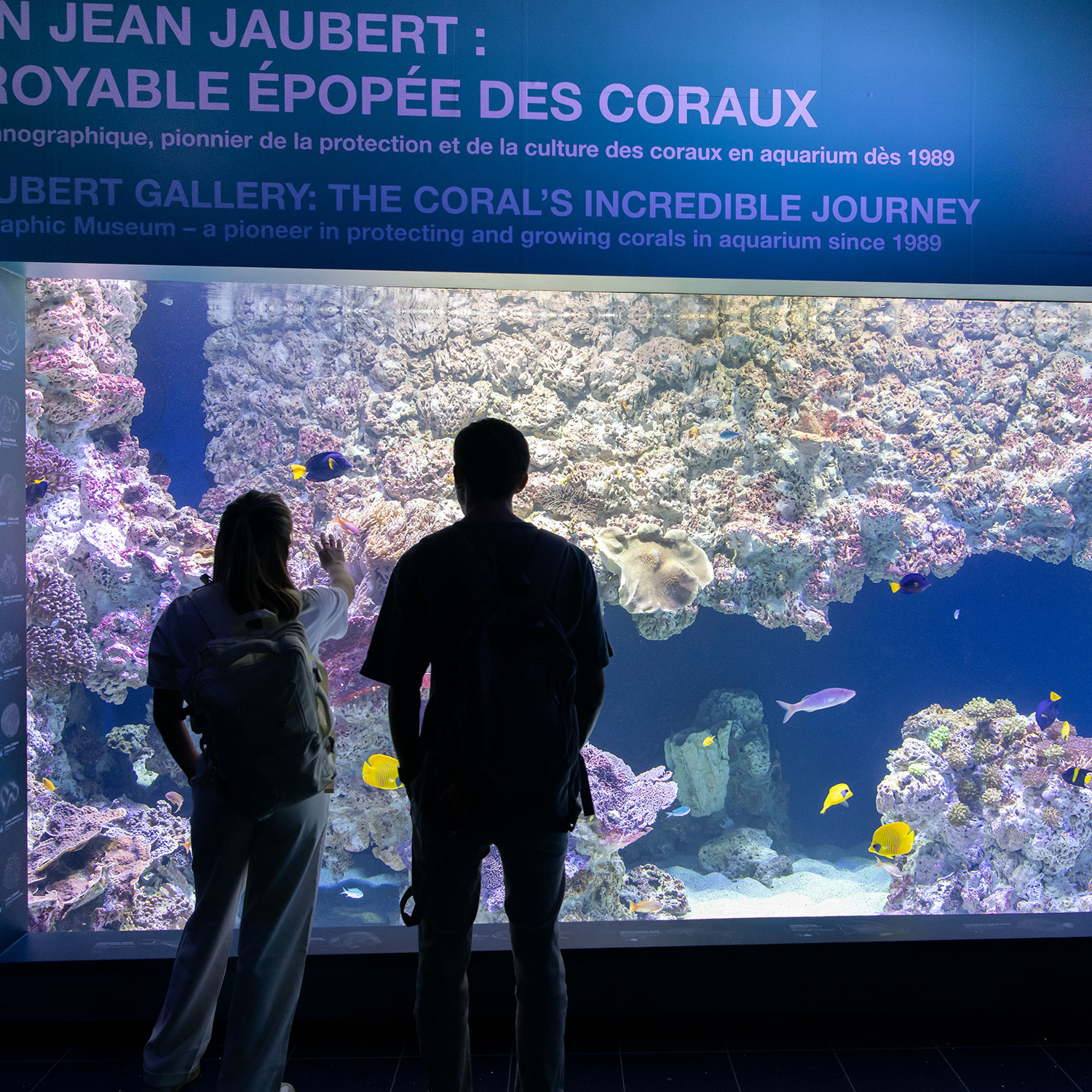 Inauguration-nouveaux-dispositifs-musee-oceanographique-monaco-coraux-bassin-jean-jaubert-placement-corail-24102025
