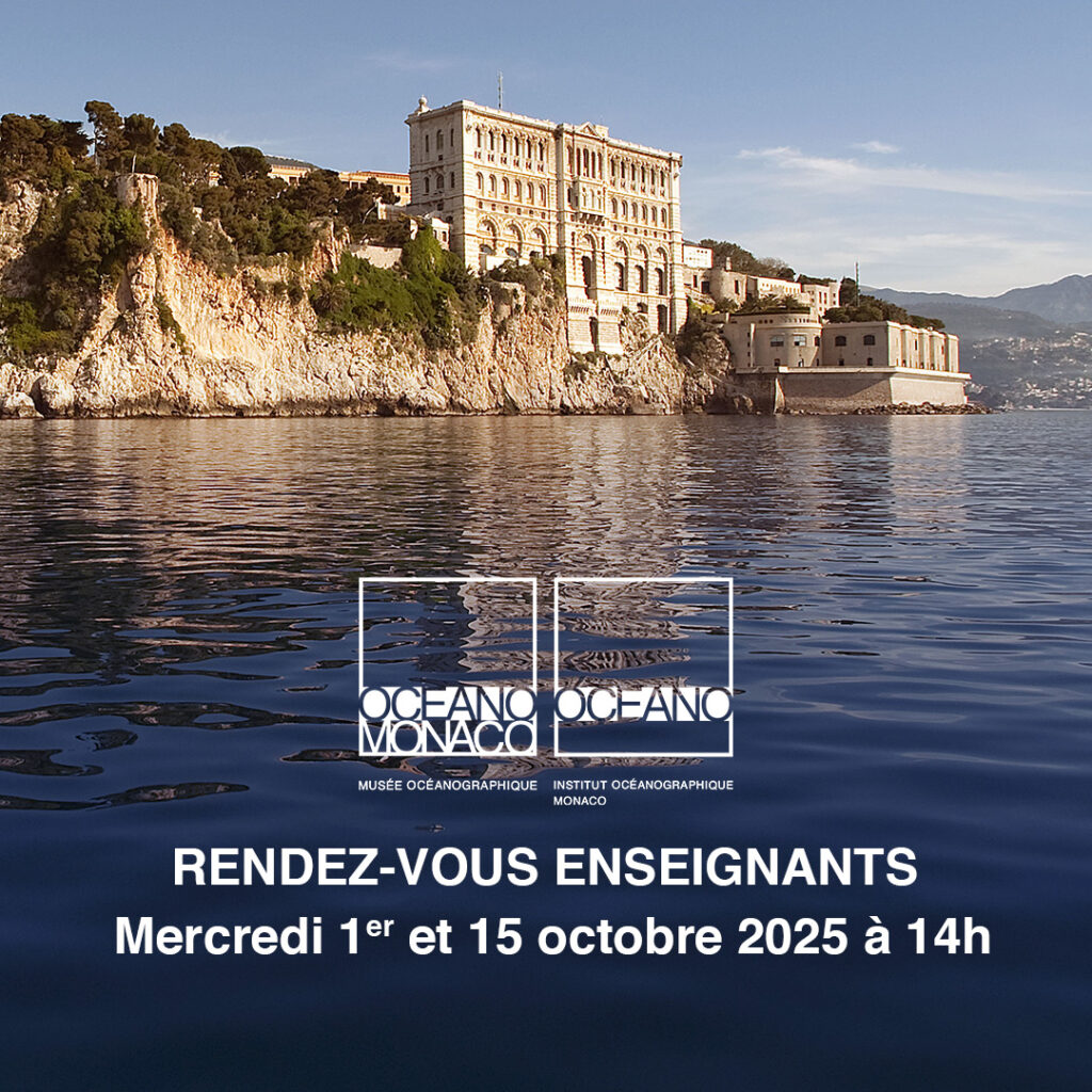 RDV enseignants 2025 - Musée océanographique de Monaco
