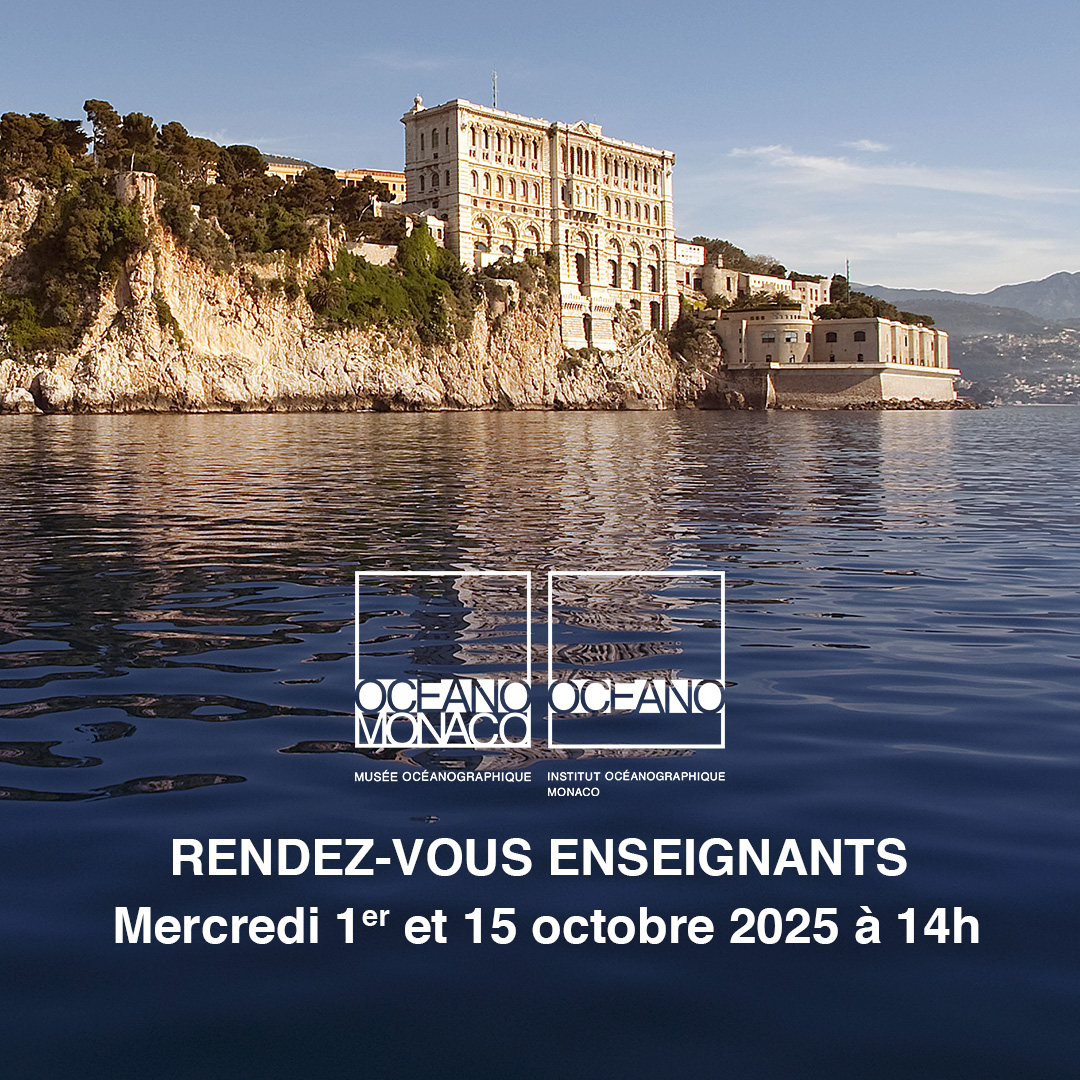 RDV enseignants 2025 - Musée océanographique de Monaco