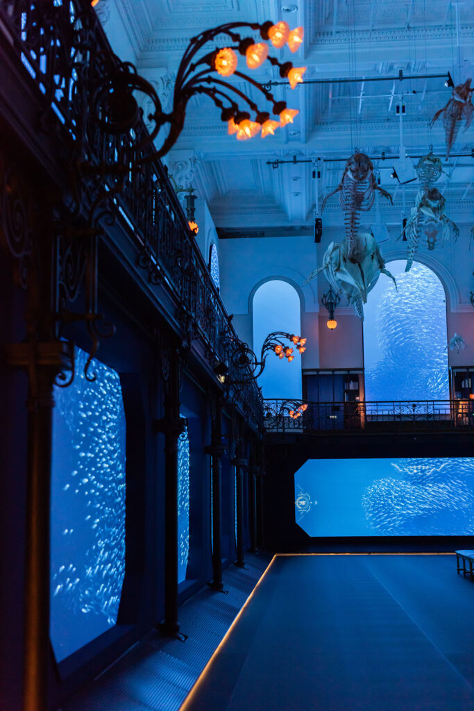 Institut-oceanographique-monaco-salle_oceano-odyssey-immersion