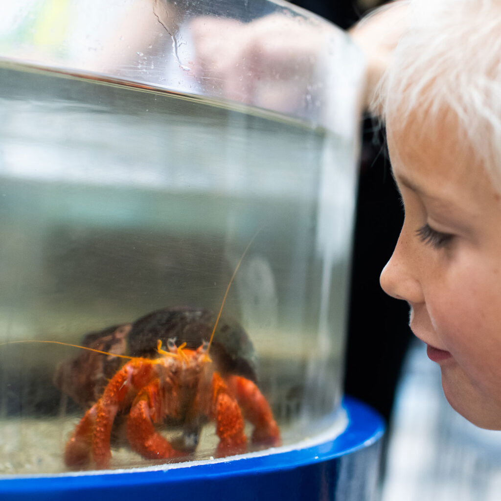 musee-oceanographique-monaco-animation-bord-de-mer