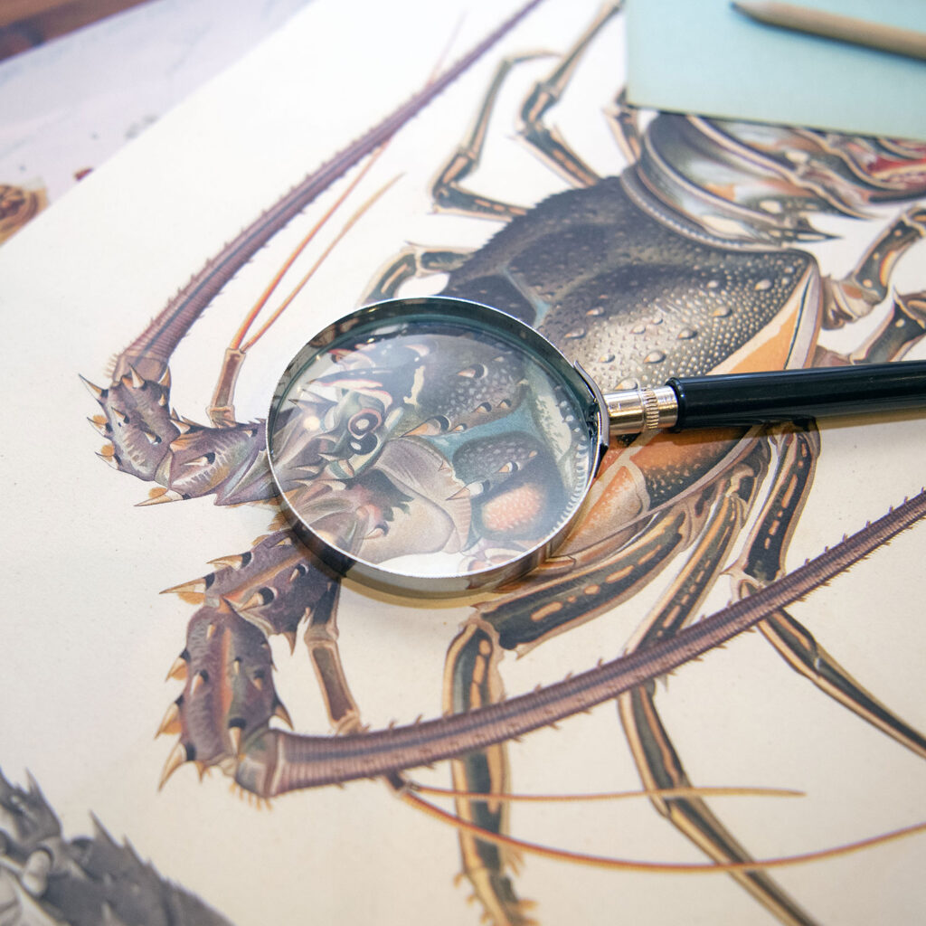 musee-oceanographique-monaco-animation-escape-game