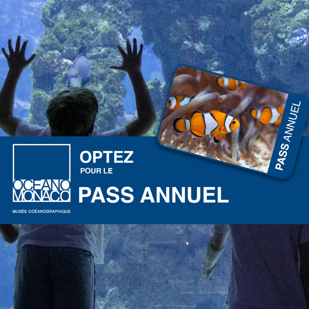musee_oceanographique_de_monaco_pass_annuel_fetes_2025