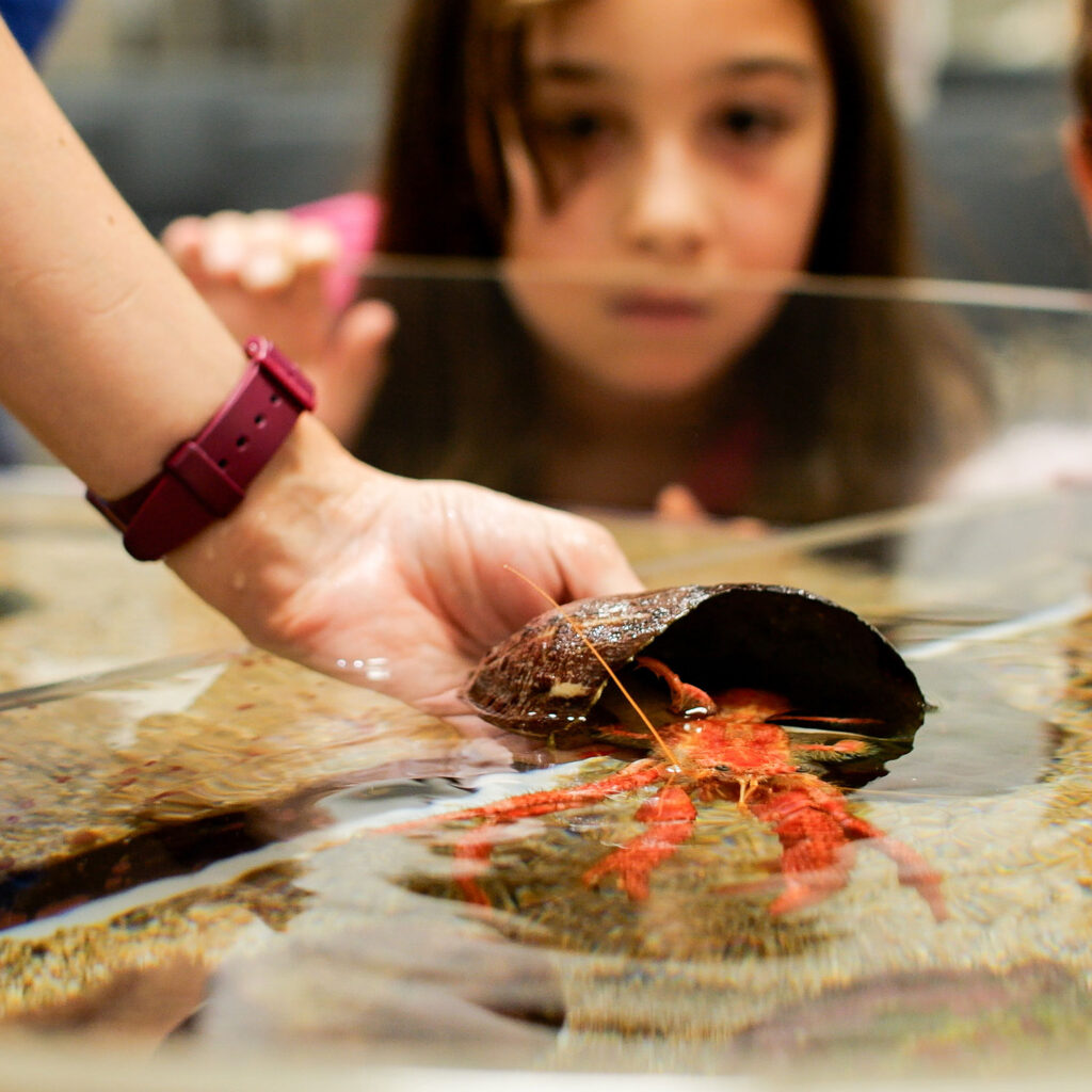musee-oceanographique-monaco-club-oceano-stage-enfants-vacances-animaux-bord-de-mer