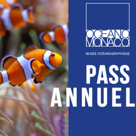 Pass-annuel-musee-oceanographique-monaco-2026