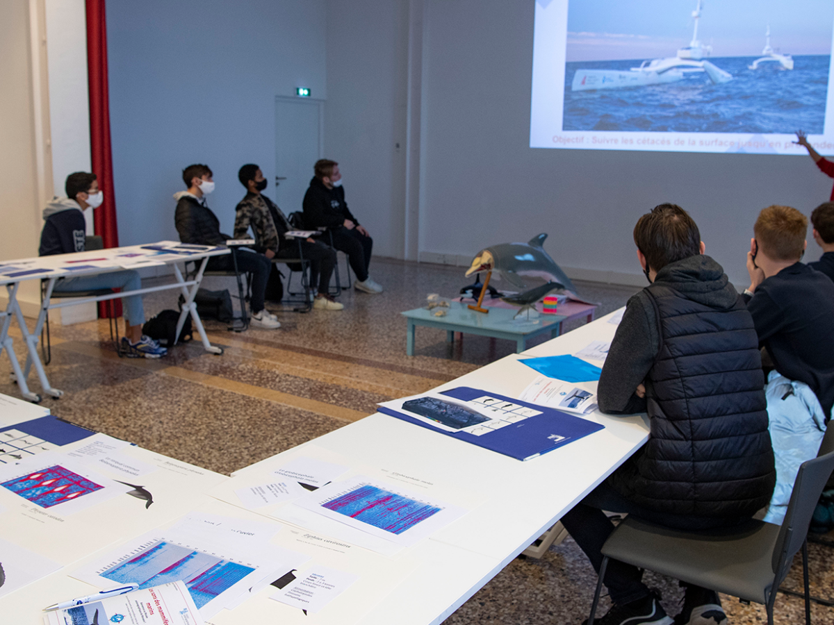 14_Atelier-Les-sons-des-mammifères_M_Dagnino2