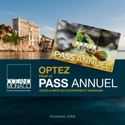 277805963_7710322249008962_4009910191861546297_n