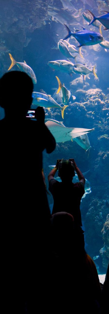 3-5-32_Grand-bac-2000_M_Dagnino