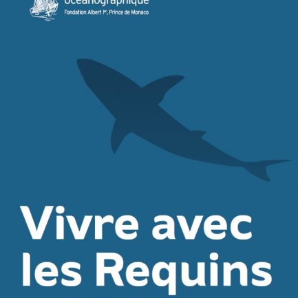 BAO Requins