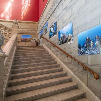 MARTIN COLOGNOLI - CORAL GUARDIAN - (c) Photo : M. Dagnino-Institut océanographique